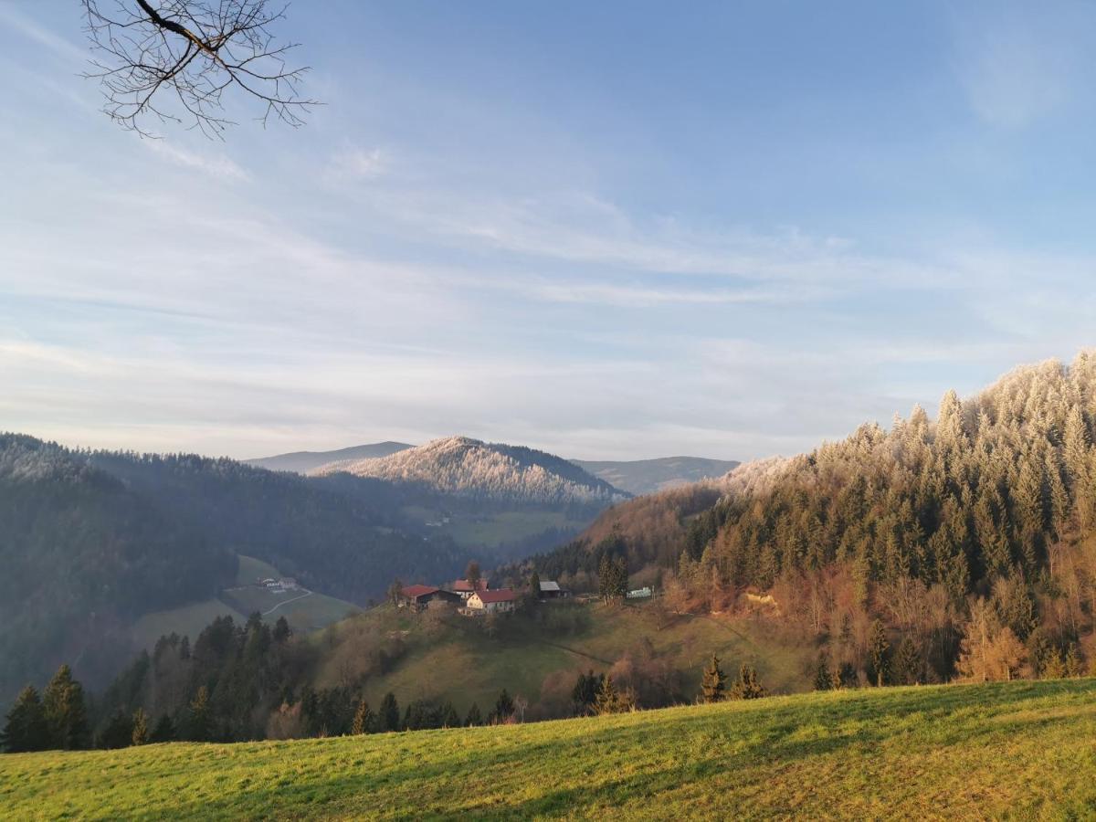 Vakantiehuis Richterberg With Sauna & Hot Tub *