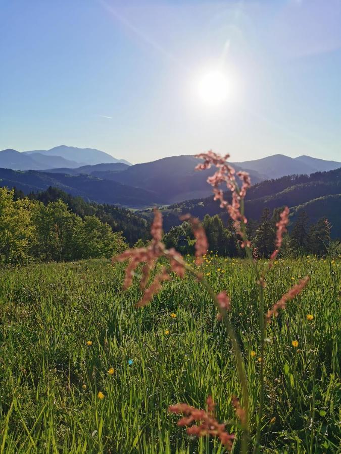 Vakantiehuis Richterberg With Sauna & Hot Tub Slovenj Gradec