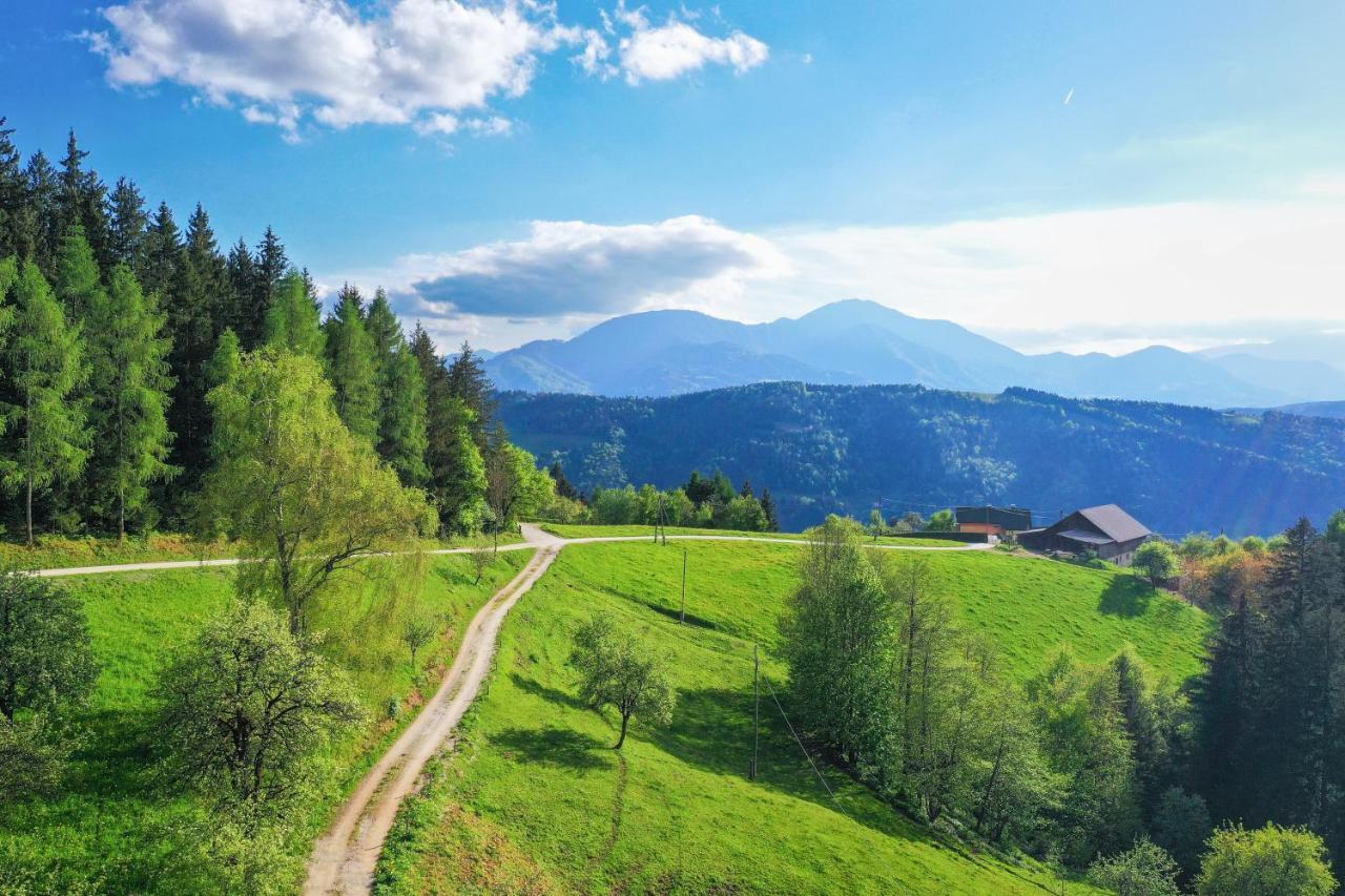 Richterberg With Sauna & Hot Tub Slovenj Gradec