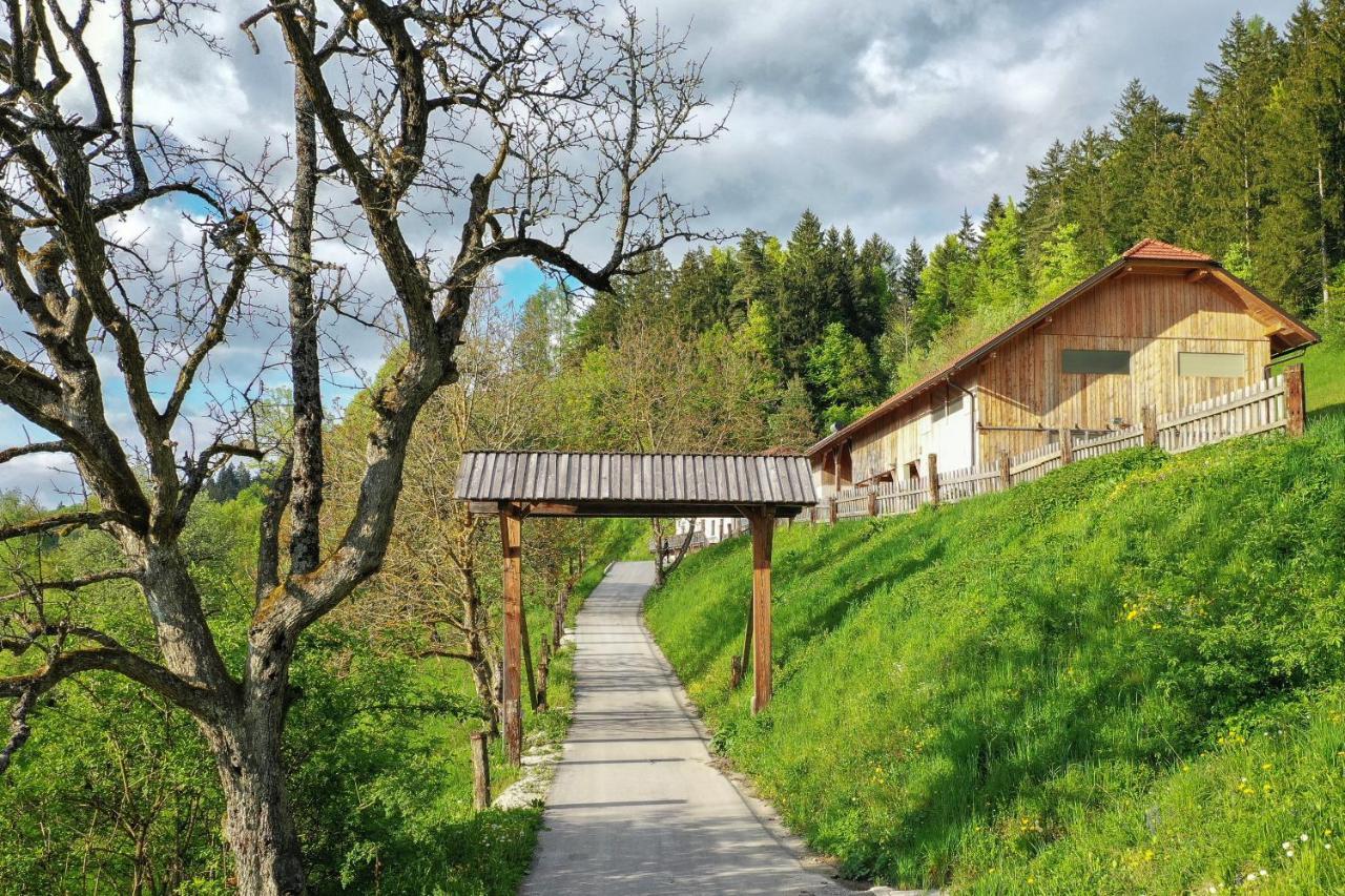 Richterberg With Sauna & Hot Tub Slovenj Gradec